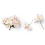 GW-MOM-FORCINGSPRING-6