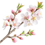 GW-MOM-FORCINGSPRING-7