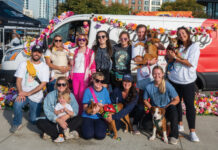 Lucky Dog Refuge in Stamford Saves Injured Dogs and Gives Them a Second Chance