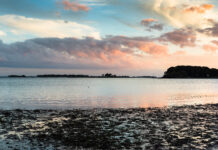 Top 5 Things to Do This Week on Fairfield County’s Gold Coast