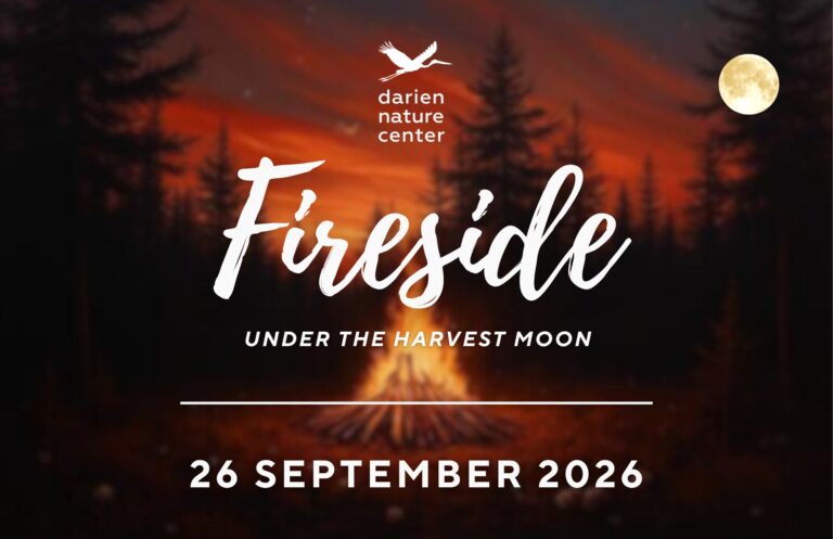 2026 Fireside Lawn sign 1 768x497