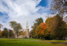 Tis the College Application Season: Your Cheat Sheet to Surviving & Thriving
