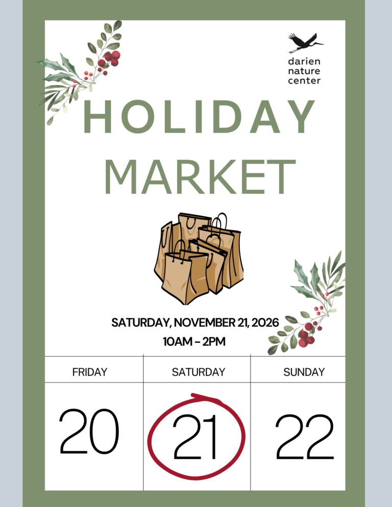 Holiday market 4 768x994